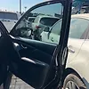 Door (RHF) - 2015 Nissan Rogue