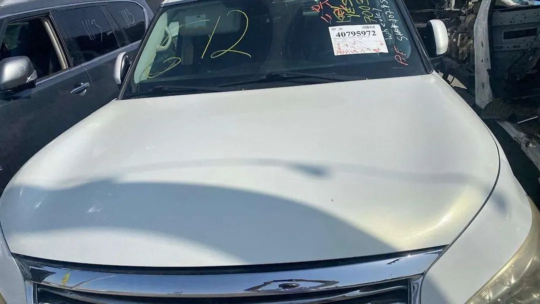 Hood/Bonnet - 2011 Infiniti QX56