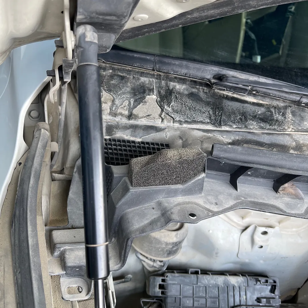 Bonnet Jumping - 2015 Infiniti QX50
